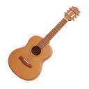 Acoustic / Folk